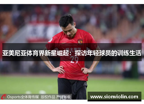 亚美尼亚体育界新星崛起：探访年轻球员的训练生活